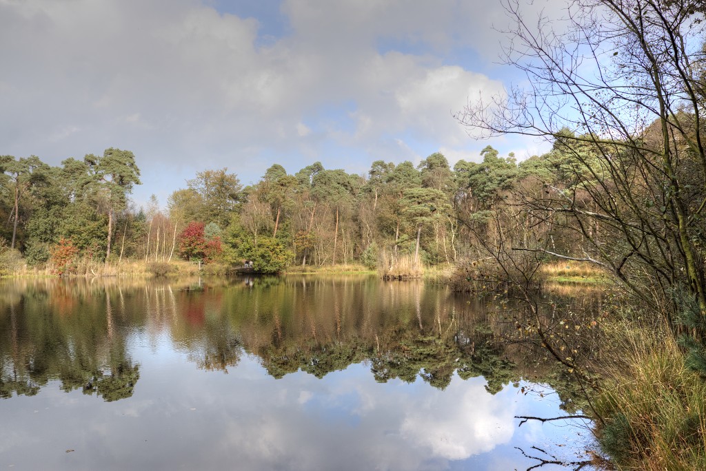 Oisterwijkse Bossen en Vennen Kampina natuurgebied natuur oisterwijk Nationaal park Landschap Het Groene Woud hei heide bossen natuurmonumenten brabant baronie boswachterij dorst